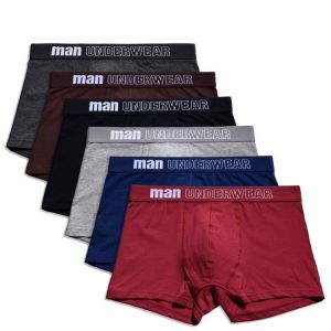 KOKY Sexy Male Underwear Solid Cotton Boxers Men's Underpants Ropa Interior Hombre Male Pure Panties Shorts Underwear Cueca Mascul